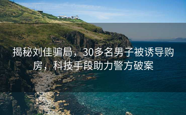 揭秘刘佳骗局，30多名男子被诱导购房，科技手段助力警方破案