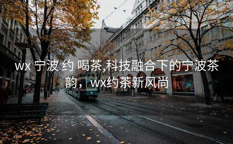 wx 宁波 约 喝茶,科技融合下的宁波茶韵，wx约茶新风尚