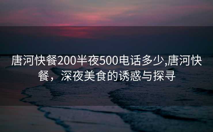 唐河快餐200半夜500电话多少,唐河快餐，深夜美食的诱惑与探寻