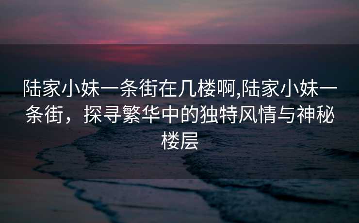 陆家小妹一条街在几楼啊,陆家小妹一条街，探寻繁华中的独特风情与神秘楼层