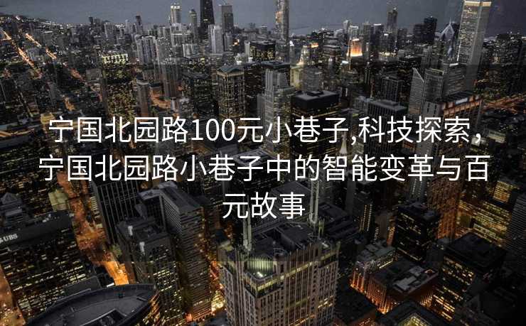 宁国北园路100元小巷子,科技探索，宁国北园路小巷子中的智能变革与百元故事