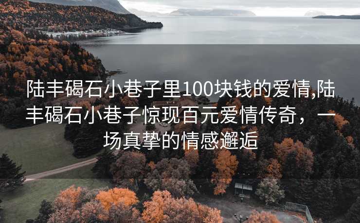 陆丰碣石小巷子里100块钱的爱情,陆丰碣石小巷子惊现百元爱情传奇，一场真挚的情感邂逅