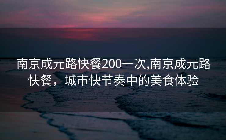 南京成元路快餐200一次,南京成元路快餐，城市快节奏中的美食体验