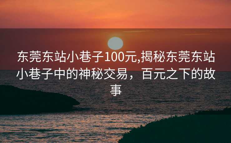 东莞东站小巷子100元,揭秘东莞东站小巷子中的神秘交易，百元之下的故事