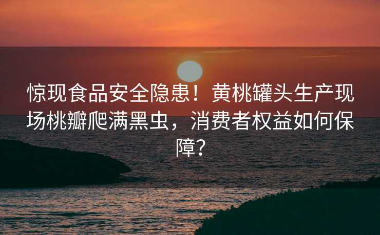 惊现食品安全隐患！黄桃罐头生产现场桃瓣爬满黑虫，消费者权益如何保障？