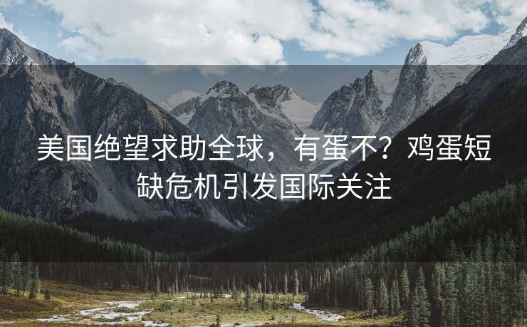 美国绝望求助全球，有蛋不？鸡蛋短缺危机引发国际关注