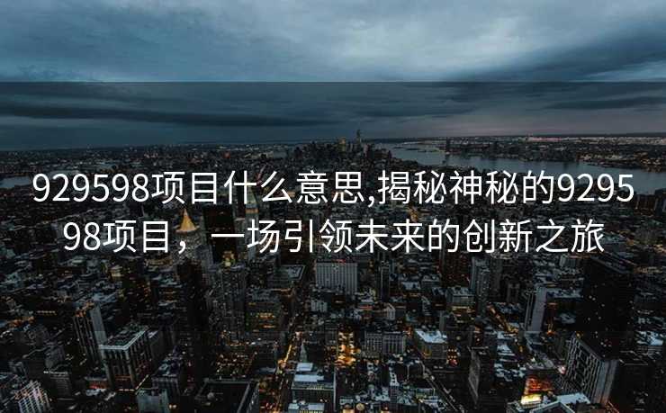 929598项目什么意思,揭秘神秘的929598项目，一场引领未来的创新之旅