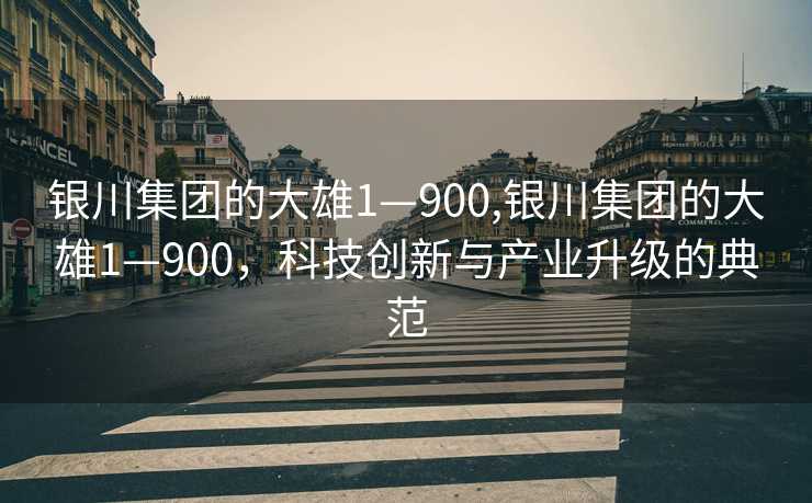 银川集团的大雄1—900,银川集团的大雄1—900，科技创新与产业升级的典范