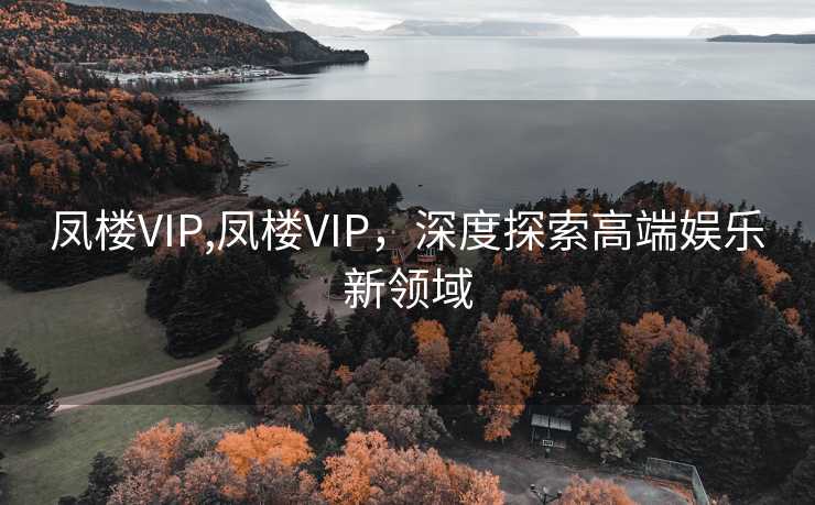 凤楼VIP,凤楼VIP，深度探索高端娱乐新领域