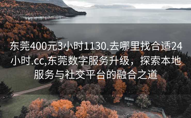 东莞400元3小时1130.去哪里找合适24小时.cc,东莞数字服务升级，探索本地服务与社交平台的融合之道