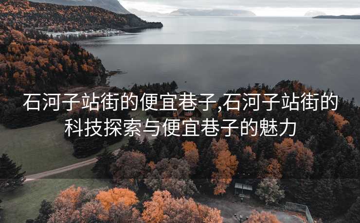 石河子站街的便宜巷子,石河子站街的科技探索与便宜巷子的魅力