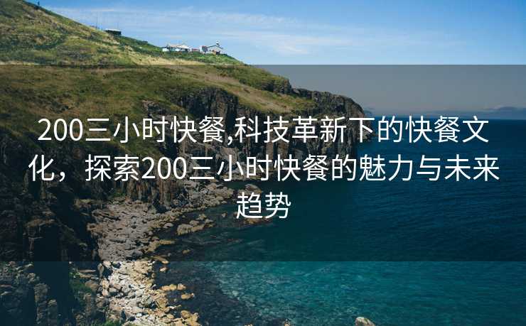 200三小时快餐,科技革新下的快餐文化，探索200三小时快餐的魅力与未来趋势