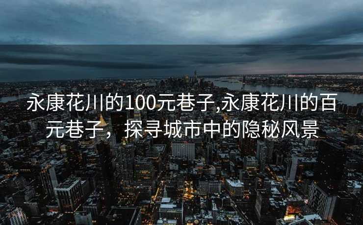 永康花川的100元巷子,永康花川的百元巷子，探寻城市中的隐秘风景