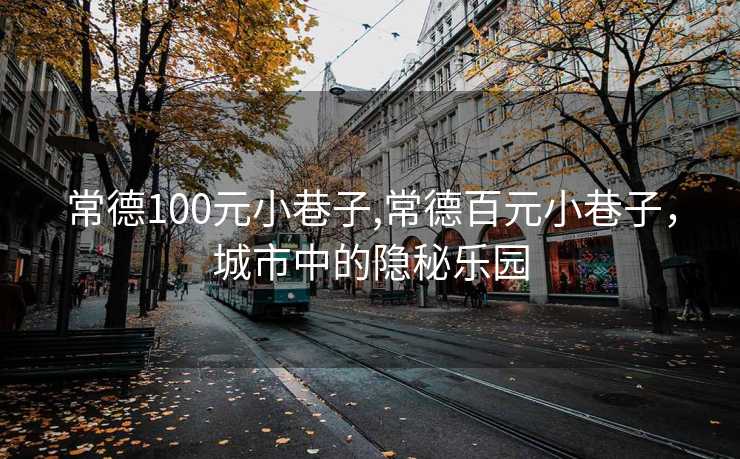 常德100元小巷子,常德百元小巷子，城市中的隐秘乐园