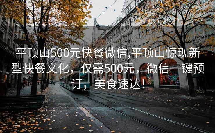 平顶山500元快餐微信,平顶山惊现新型快餐文化，仅需500元，微信一键预订，美食速达！