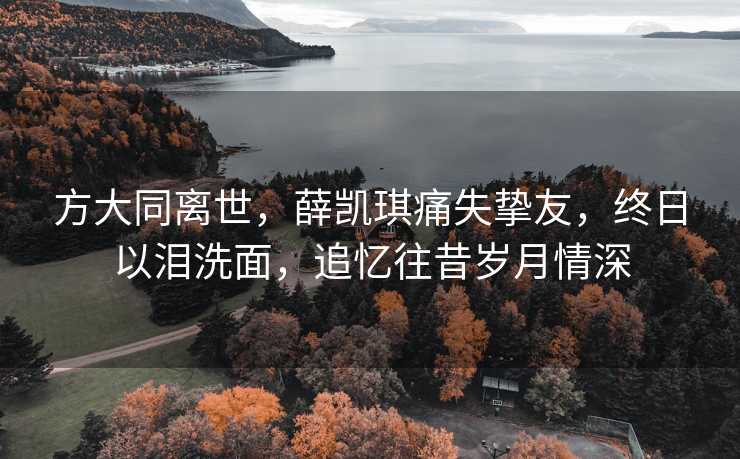 方大同离世，薛凯琪痛失挚友，终日以泪洗面，追忆往昔岁月情深