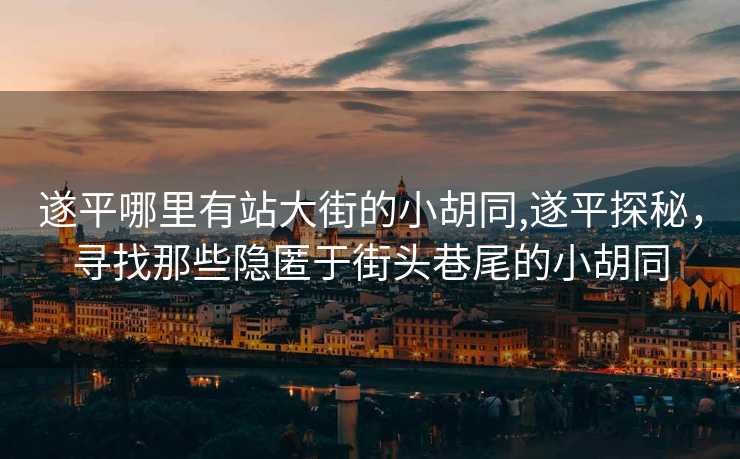 遂平哪里有站大街的小胡同,遂平探秘，寻找那些隐匿于街头巷尾的小胡同