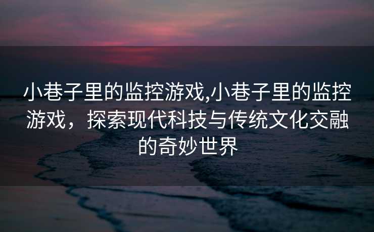 小巷子里的监控游戏,小巷子里的监控游戏，探索现代科技与传统文化交融的奇妙世界