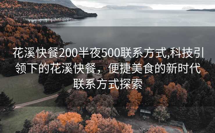 花溪快餐200半夜500联系方式,科技引领下的花溪快餐，便捷美食的新时代联系方式探索