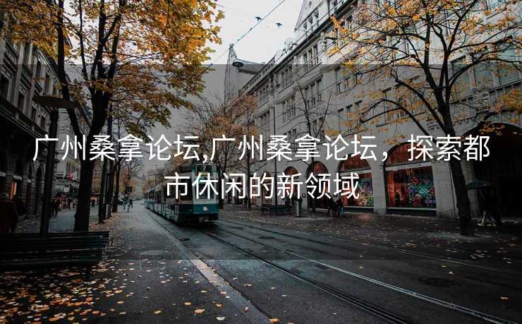 广州桑拿论坛,广州桑拿论坛，探索都市休闲的新领域