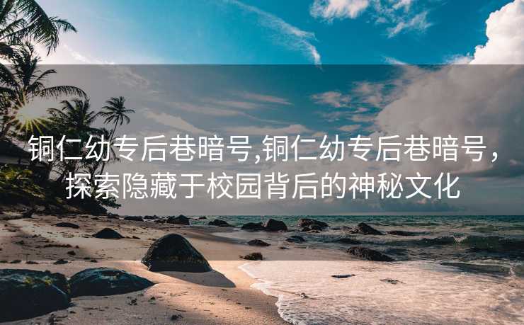 铜仁幼专后巷暗号,铜仁幼专后巷暗号，探索隐藏于校园背后的神秘文化