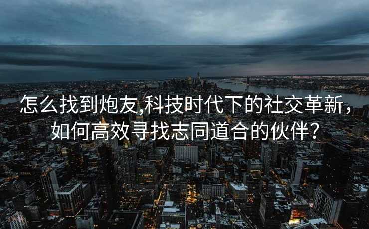 怎么找到炮友,科技时代下的社交革新，如何高效寻找志同道合的伙伴？