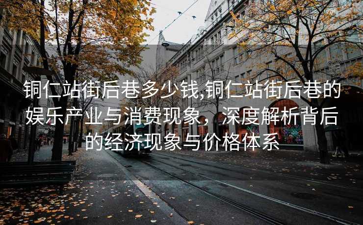 铜仁站街后巷多少钱,铜仁站街后巷的娱乐产业与消费现象，深度解析背后的经济现象与价格体系