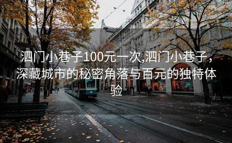 泗门小巷子100元一次,泗门小巷子，深藏城市的秘密角落与百元的独特体验