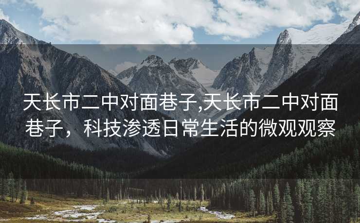 天长市二中对面巷子,天长市二中对面巷子，科技渗透日常生活的微观观察