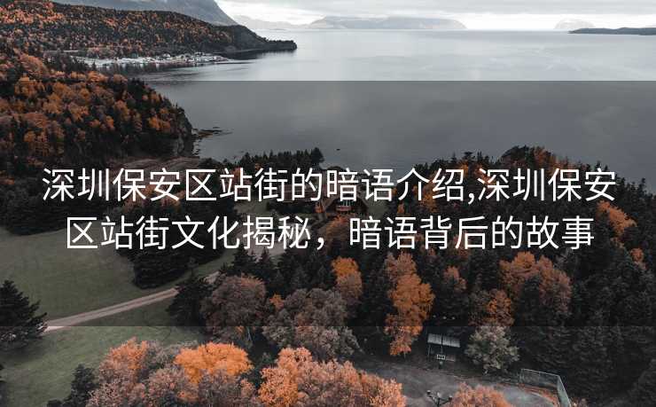 深圳保安区站街的暗语介绍,深圳保安区站街文化揭秘，暗语背后的故事