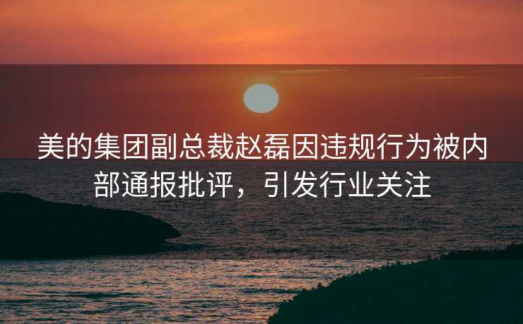 美的集团副总裁赵磊因违规行为被内部通报批评，引发行业关注