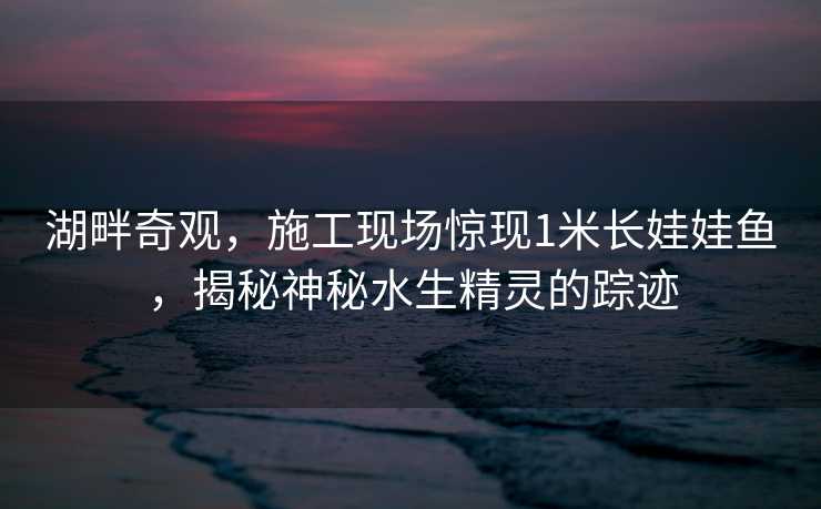 湖畔奇观，施工现场惊现1米长娃娃鱼，揭秘神秘水生精灵的踪迹