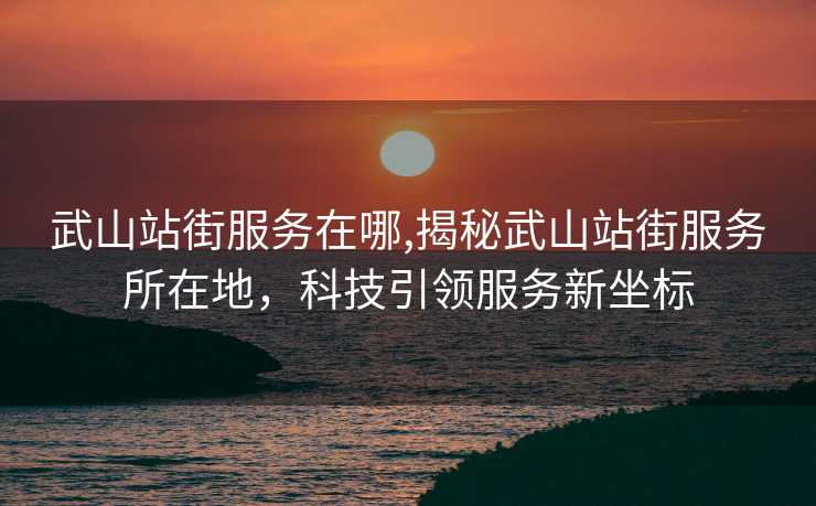 武山站街服务在哪,揭秘武山站街服务所在地，科技引领服务新坐标