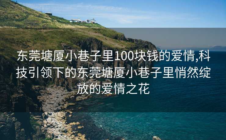 东莞塘厦小巷子里100块钱的爱情,科技引领下的东莞塘厦小巷子里悄然绽放的爱情之花