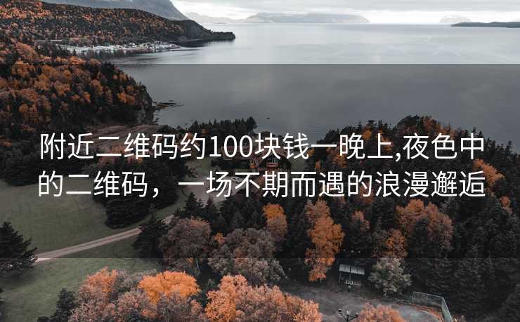 附近二维码约100块钱一晚上,夜色中的二维码，一场不期而遇的浪漫邂逅