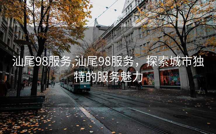 汕尾98服务,汕尾98服务，探索城市独特的服务魅力