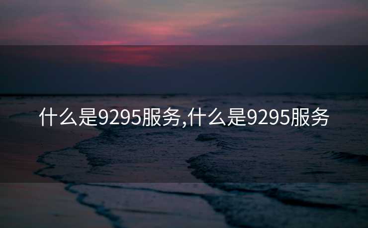 什么是9295服务,什么是9295服务