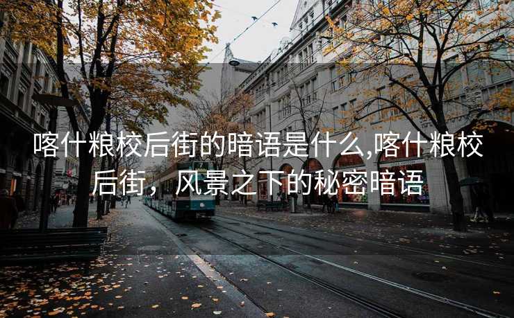 喀什粮校后街的暗语是什么,喀什粮校后街，风景之下的秘密暗语