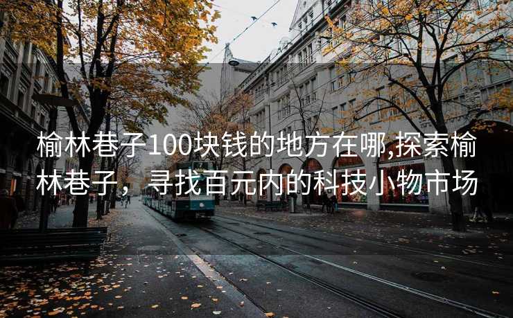 榆林巷子100块钱的地方在哪,探索榆林巷子，寻找百元内的科技小物市场