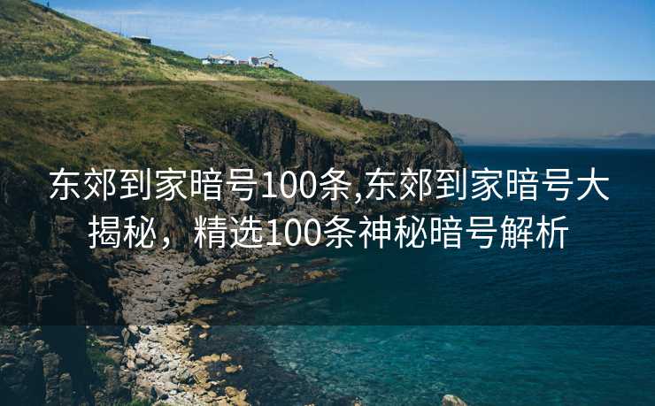 东郊到家暗号100条,东郊到家暗号大揭秘，精选100条神秘暗号解析