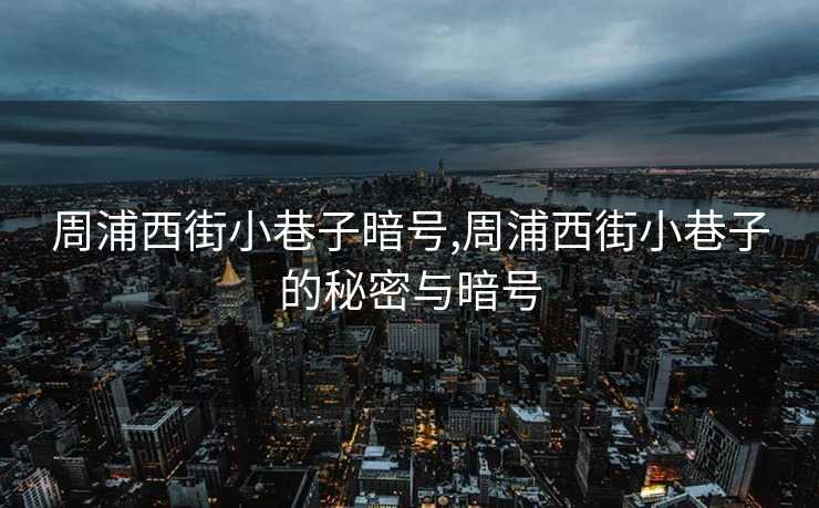 周浦西街小巷子暗号,周浦西街小巷子的秘密与暗号