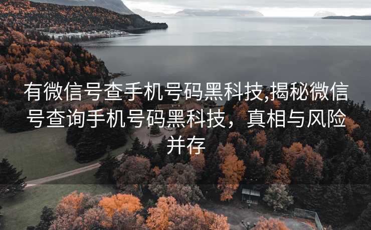 有微信号查手机号码黑科技,揭秘微信号查询手机号码黑科技，真相与风险并存