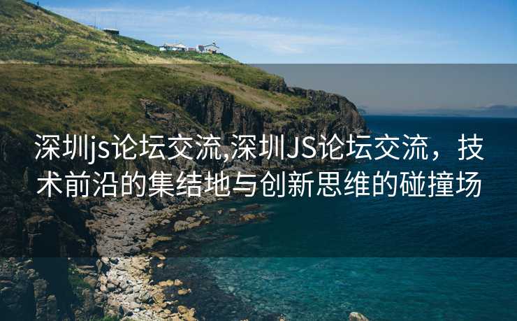 深圳js论坛交流,深圳JS论坛交流，技术前沿的集结地与创新思维的碰撞场